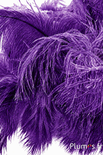 Strauss - 30-40 cm - naturgrau-aubergine